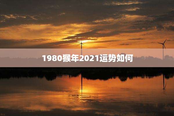 1980猴年2021运势如何