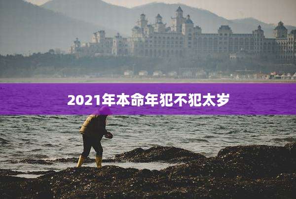 2021年本命年犯不犯太岁