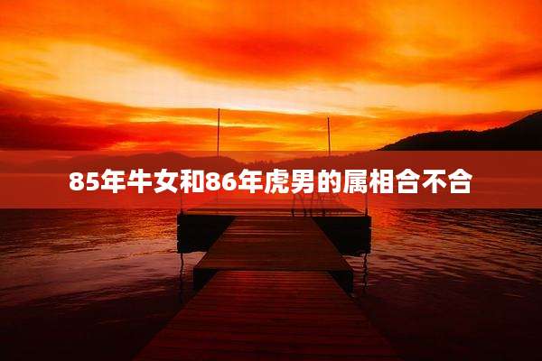 85年牛女和86年虎男的属相合不合