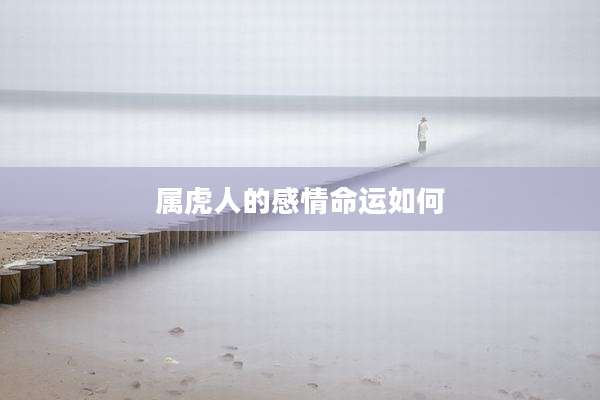 属虎人的感情命运如何