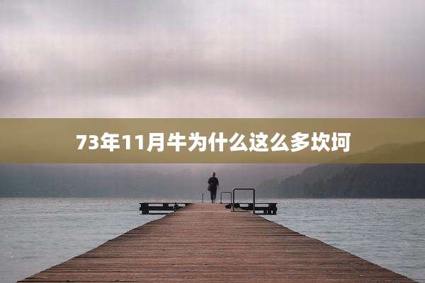 73年11月牛为什么这么多坎坷