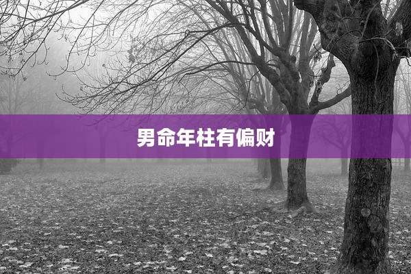 男命年柱有偏财
