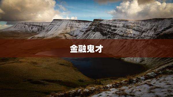金融鬼才