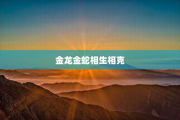 金龙金蛇相生相克