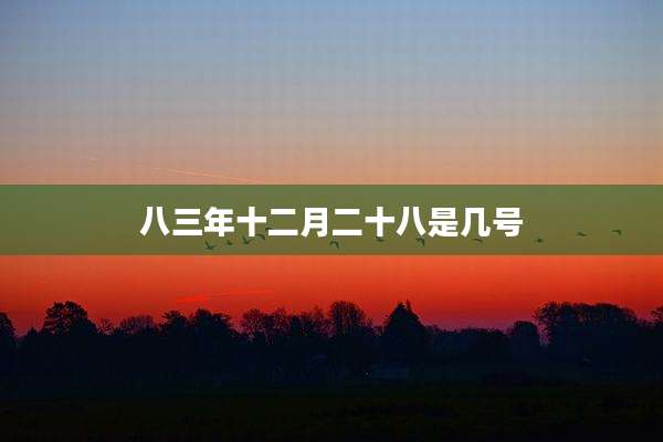 八三年十二月二十八是几号