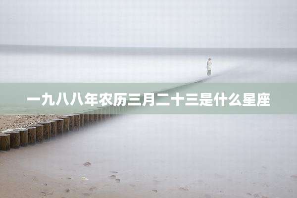 一九八八年农历三月二十三是什么星座