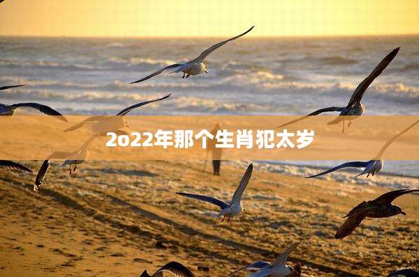 2o22年那个生肖犯太岁