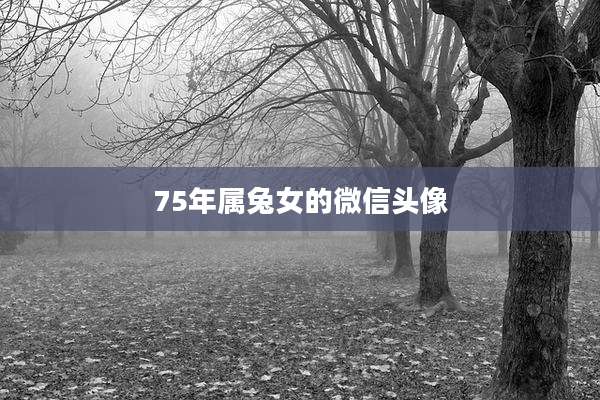 75年属兔女的微信头像