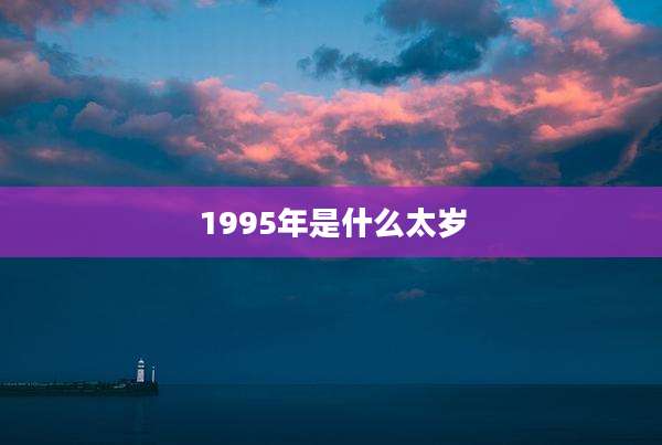 1995年是什么太岁