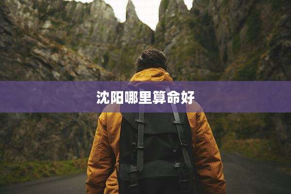 沈阳哪里算命好