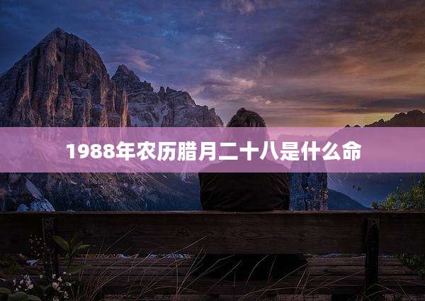1988年农历腊月二十八是什么命