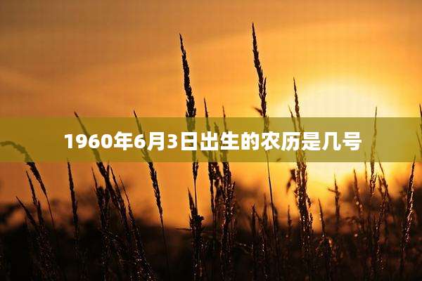 1960年6月3日出生的农历是几号