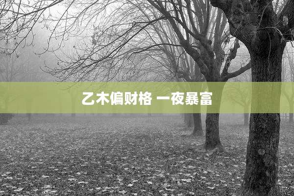 乙木偏财格 一夜暴富
