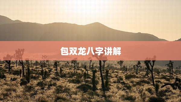 包双龙八字讲解