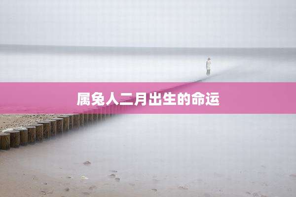 属兔人二月出生的命运