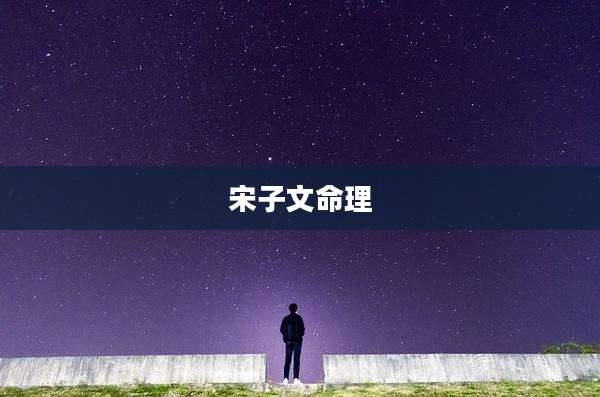 宋子文命理