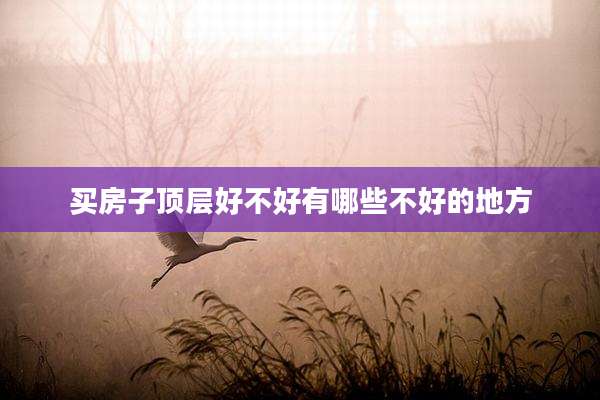 买房子顶层好不好有哪些不好的地方