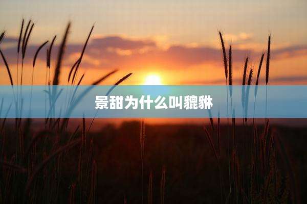 景甜为什么叫貔貅