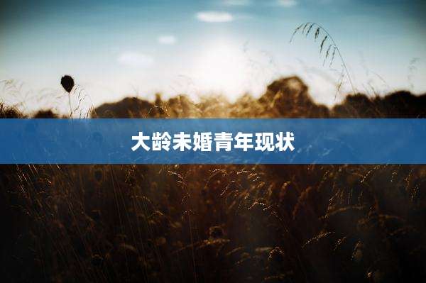 大龄未婚青年现状