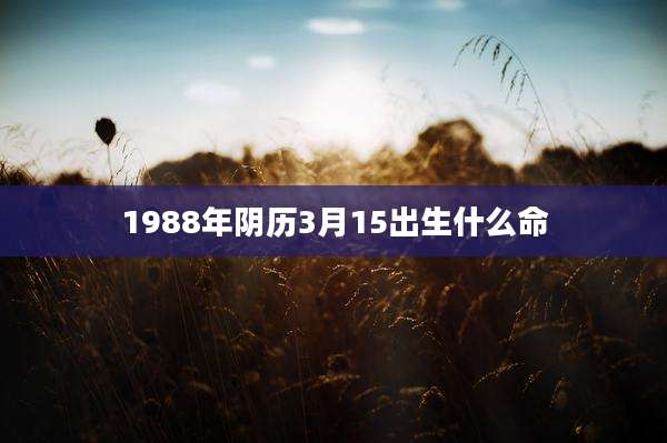 1988年阴历3月15出生什么命