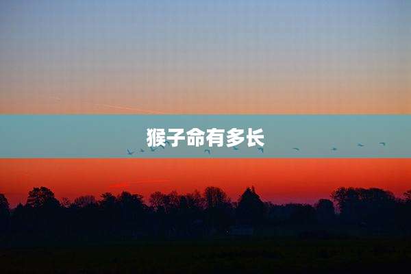 猴子命有多长
