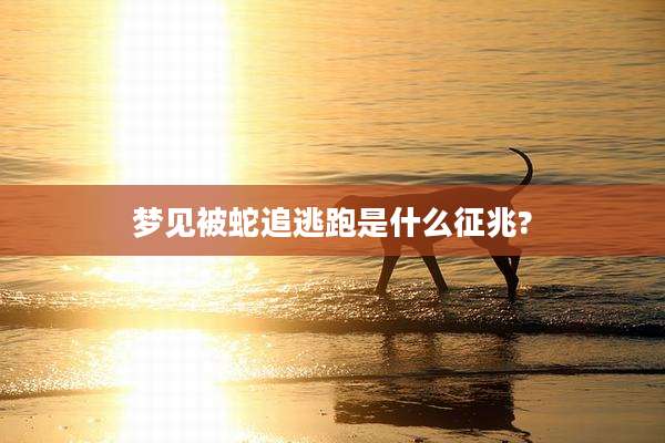 梦见被蛇追逃跑是什么征兆?