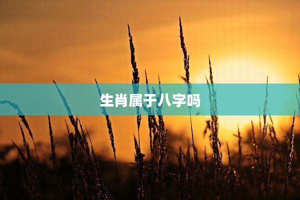 生肖属于八字吗