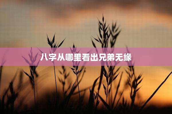 八字从哪里看出兄弟无缘