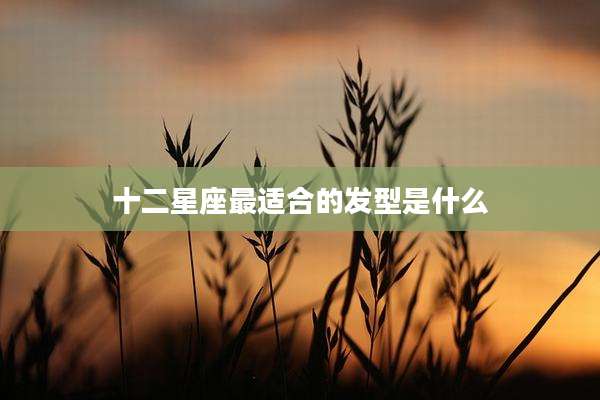 十二星座最适合的发型是什么