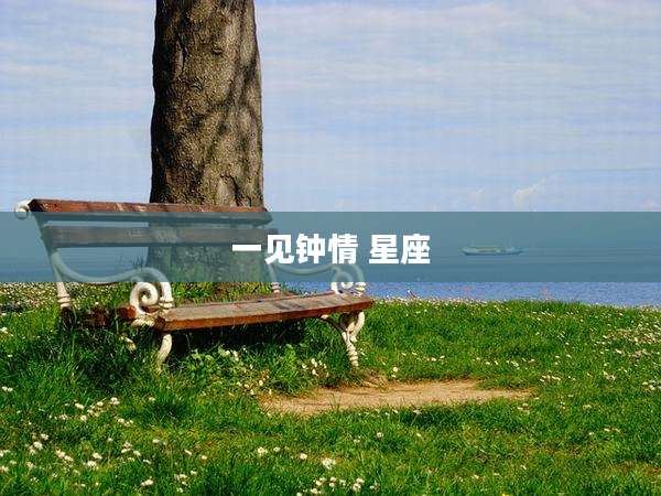 一见钟情 星座