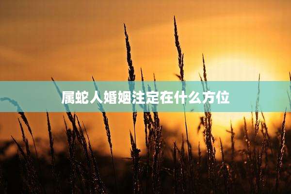 属蛇人婚姻注定在什么方位