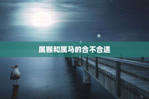 属猴和属马的合不合适