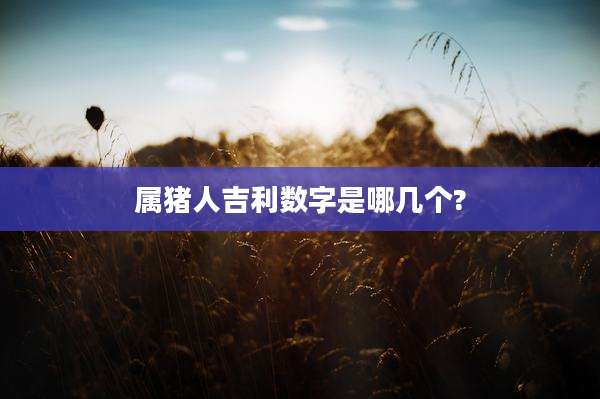 属猪人吉利数字是哪几个?