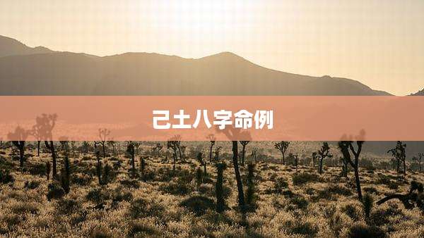 己土八字命例