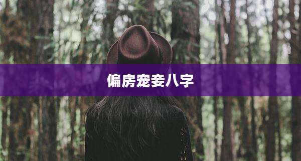 偏房宠妾八字