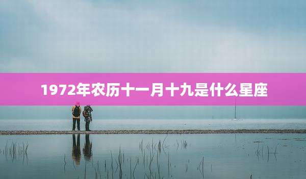 1972年农历十一月十九是什么星座