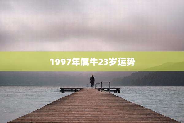 1997年属牛23岁运势