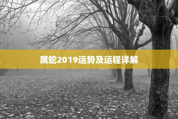 属蛇2019运势及运程详解