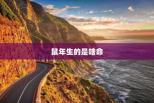 鼠年生的是啥命