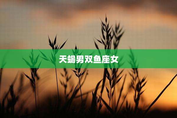 天蝎男双鱼座女