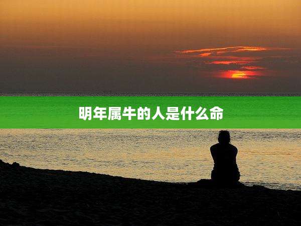 明年属牛的人是什么命