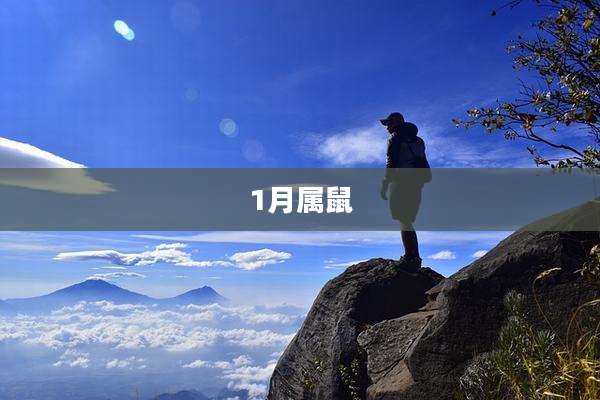 1月属鼠