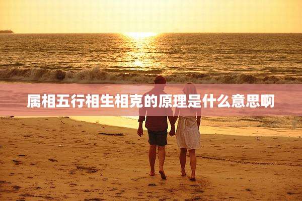 属相五行相生相克的原理是什么意思啊