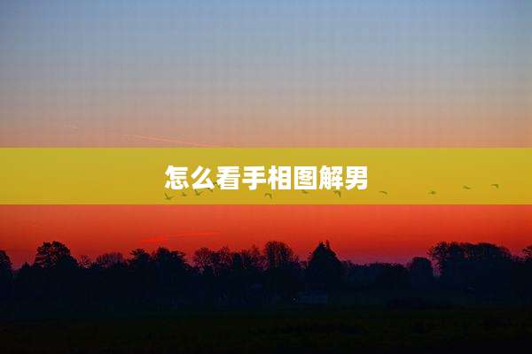 怎么看手相图解男