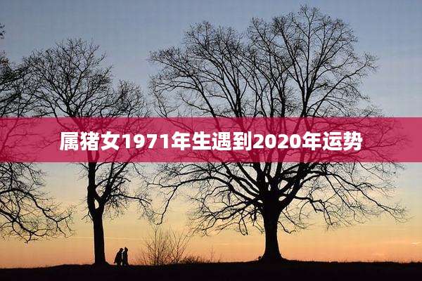 属猪女1971年生遇到2020年运势