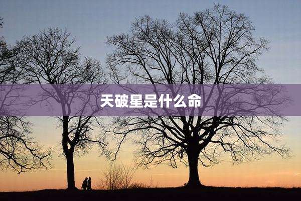 天破星是什么命