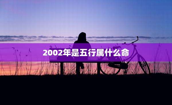 2002年是五行属什么命
