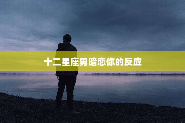 十二星座男暗恋你的反应