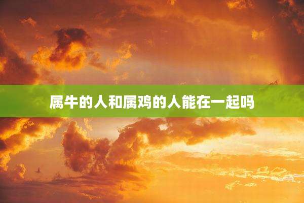 属牛的人和属鸡的人能在一起吗