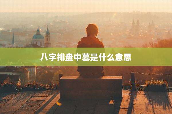 八字排盘中墓是什么意思